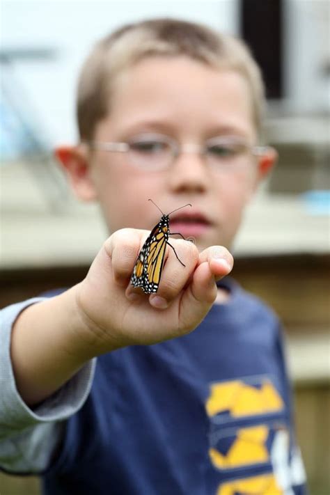 Mariposa De Monarca Joven De La Explotaci N Agr Cola Del Muchacho Foto