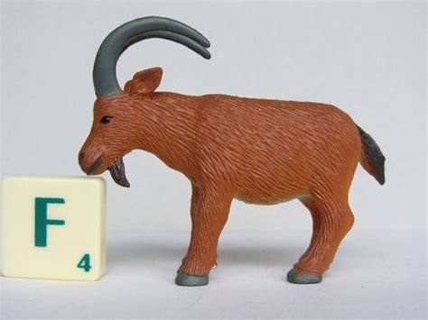 Siberian ibex - Toy Animal Wiki