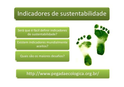 Sustentabilidade Conceitos E Definições