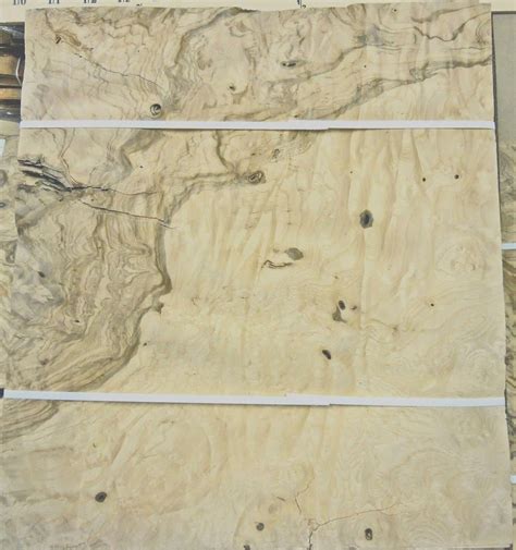 Olive Ash Burl Wood Veneer 12 X 13 With No Backing Raw Veneer 1 42