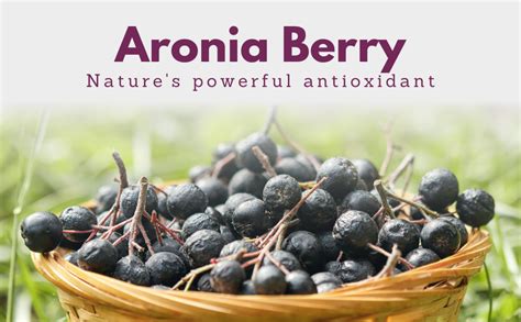 Aronia Original Organic Aronia Berry Juice Litre Fl Oz Box