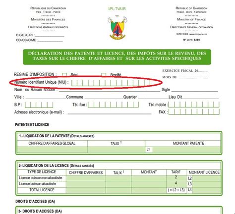 Num Ro Didentifiant Unique Pourquoi La R Forme Coince