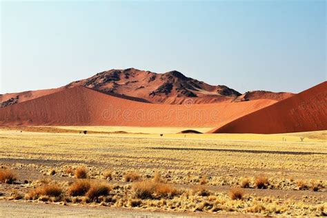 Parque Nacional Naukluft Namibia Imagen De Archivo Imagen De Dunas