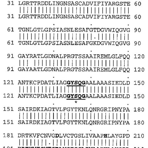comparison  predicted amino acid sequences single letter codes