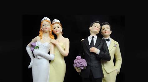 C S Toriile Gay Pro Sau Contra Elena Filip