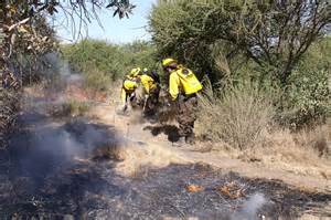 Brigadas De La Conaf Reanudan Combate De Incendio Forestal Que Afecta A