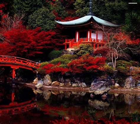 Japanese Garden Wallpapers - Top Free Japanese Garden Backgrounds ...