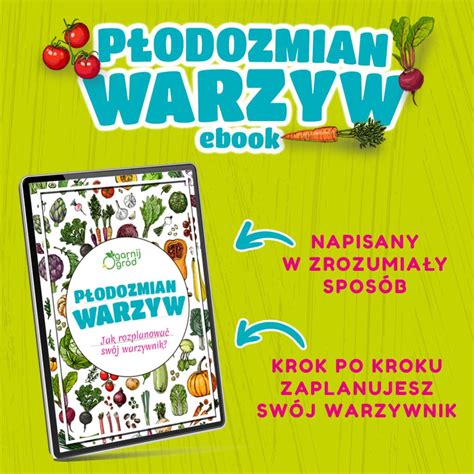 P Odozmian Warzyw Czyli Jak Rozplanowa Sw J Warzywnik Ogarnij Ogr D