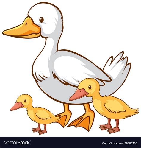 Mother and baby duck cartoon on white background Vector Image