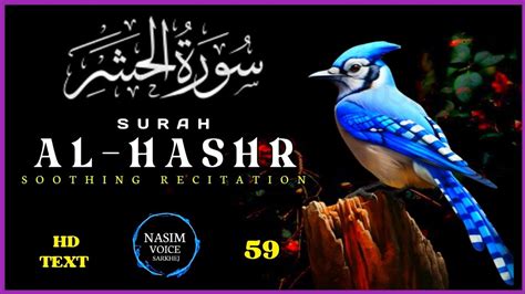 Surah Al Hashr Most Beautiful Quran Recitation Quran