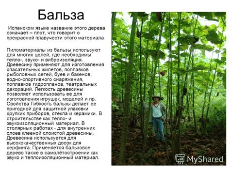 Презентация на тему: "МОУ «Переборская ООШ» Районный конкурс «Учебное ...