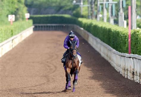 【日本ダービー】ジャスティンミラノは坂路で54秒2の微調整で態勢万全 友道調教師「皐月賞より走る姿がゆったり」 競馬ニュース Netkeiba