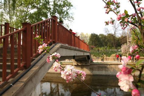 Beijings Central Axis Flower Viewing Routes