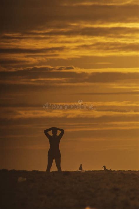 Silhouette on sunrise 3 stock photo. Image of afterglow - 266999472