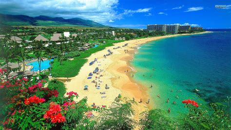 Hawaii Beaches Wallpaper (52+ images)