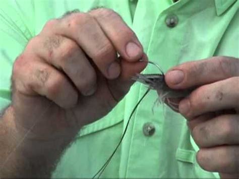 How To Hook Live Shrimp Under The Horn By Bob Mcnally Youtube