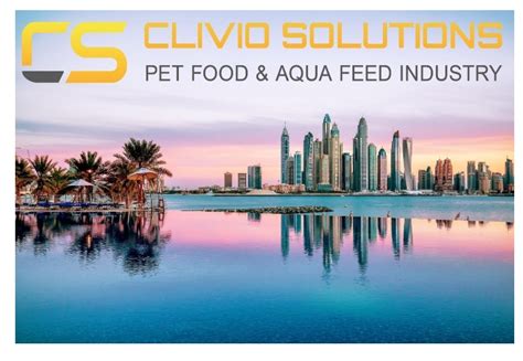 Clivio Solutions Fue Seleccionada Por Empresa De Dub I Para El