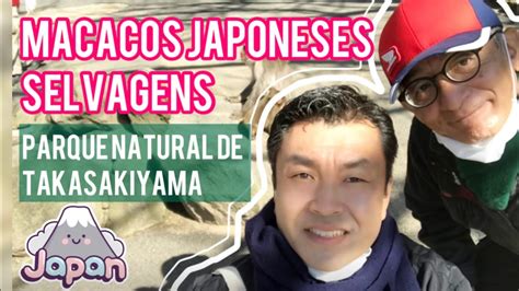 Conheça o Japão Conheça Oita Macacos Japoneses Selvagens no Parque