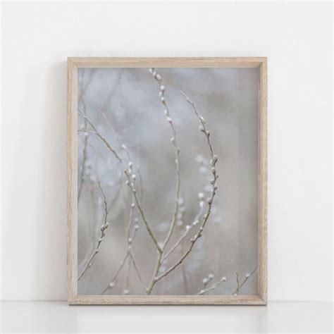 Pussy Willow Etsy
