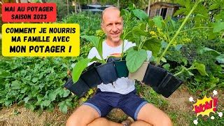 Potager les fruits et légumes à planter absolument début mai