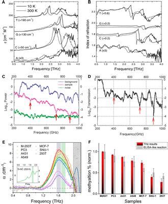 Frontiers Applications Of Terahertz Spectroscopy In The Detection And