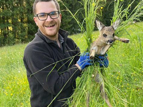 Rehkitzrettung Im Allg U Drohnen F R Den Tierschutz Leben