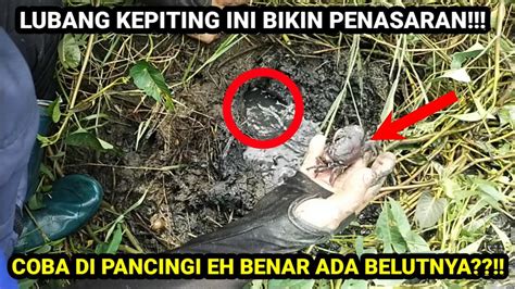 Panen Belut Di Spot Kolamdan Kalau Nemu Lubang Yang Ada Kepitingnya