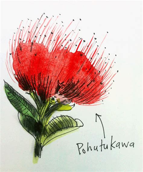 Pohutukawa | Urban Sketchers | Nz art, Christmas face painting, Hawaiian art