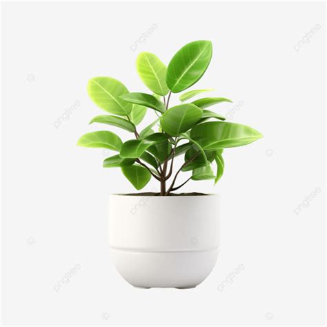 Ecology Leafs In Pot Leaves Pot Leafs PNG Transparent Image And