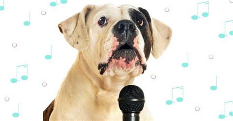 Karaoke. Hôm nay đi đám cưới. Có vấn đề về âm… | by SnCarem | Medium