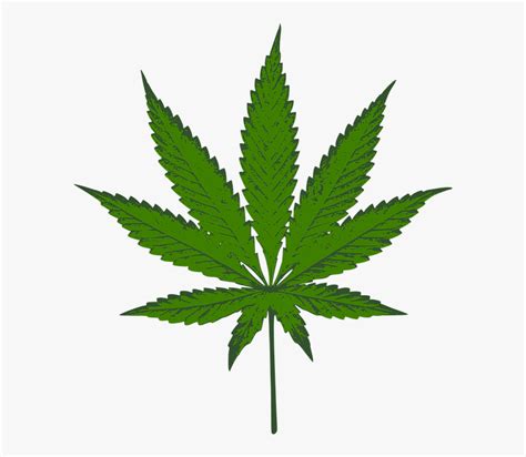 weed plant clipart 10 free Cliparts | Download images on Clipground 2024