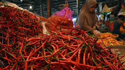 Harga Cabai Berangsur Naik Koran Jakarta