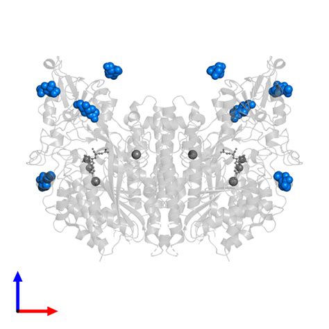 PDB 6rbc Gallery Protein Data Bank In Europe PDBe EMBL EBI