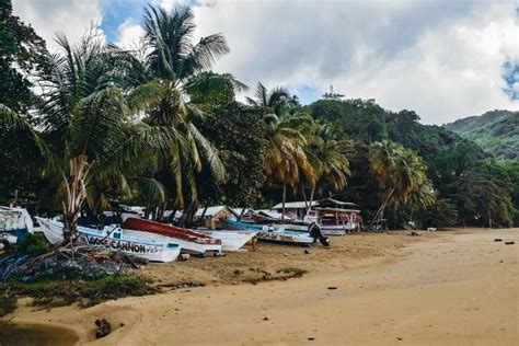 Tobago Bucket List 19 Of The Best Things To Do Travel Done Clever