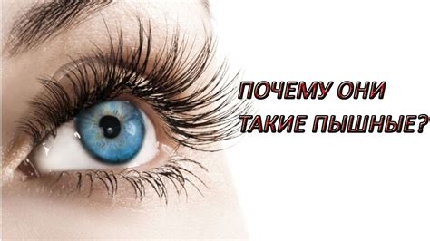 Активатор роста ресниц и бровей ACLON. Его преимущества