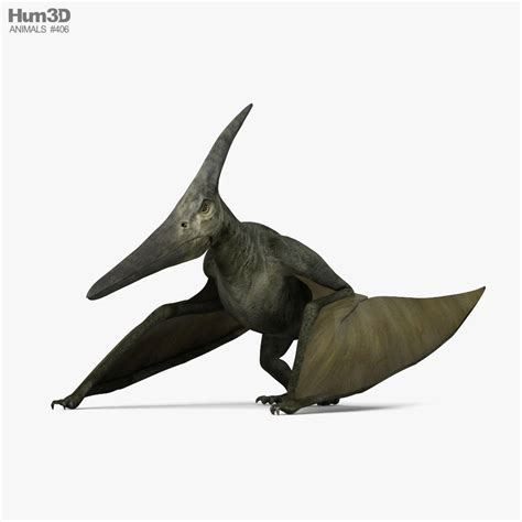 Jurassic World Pteranodon Render Ppgbbe Intranet Biologia Ufrj Br