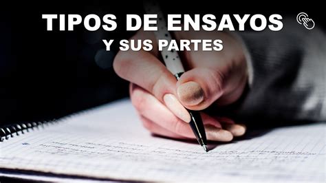 Tipos De Ensayos Y Sus Partes