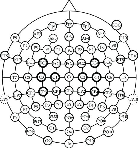 The positions of 39 EEG electrodes used for data acquisition are marked ...