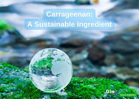 8 Surprising Benefits of Carrageenan That You Need to Know