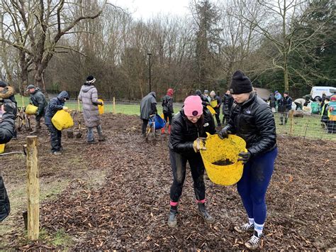 Peckham Rye - Earthwatch Europe