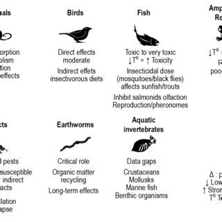 Pyrethroids' mode of action on neurons. | Download Scientific Diagram