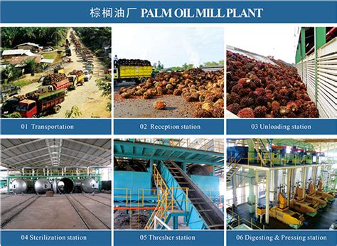 Palm oil production process pdf_Company news