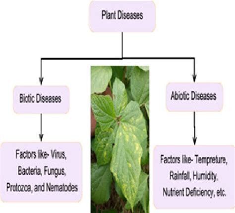 Plant Pathology Diseases