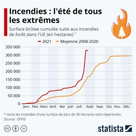 Incendies De Forêt 2021 Lété De Tous Les Extrêmes