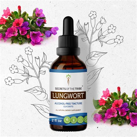 Lungwort Tincture Alcohol Free Extract Organic Lungwort Pulmonaria