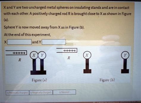 Solved Xand Yare Two Uncharged Metal Spheres On Insulating Stands And