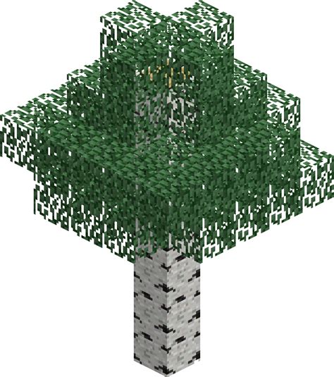 Birch Tree Png Minecraft Wiki