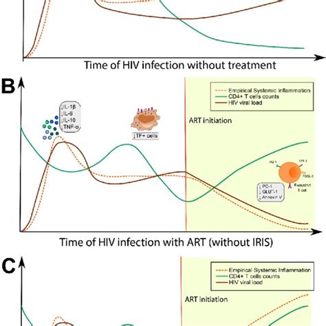 Influence Of Antiretroviral Therapy Art On Systemic Inflammation A