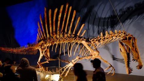 New Fossils Prove Spinosaurus Was an Underwater Terror | Extremetech