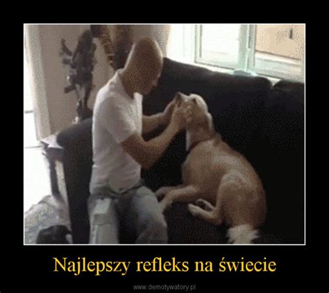 Najlepszy refleks na świecie Demotywatory pl